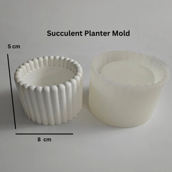 The Elaan Succulent Holder Mold