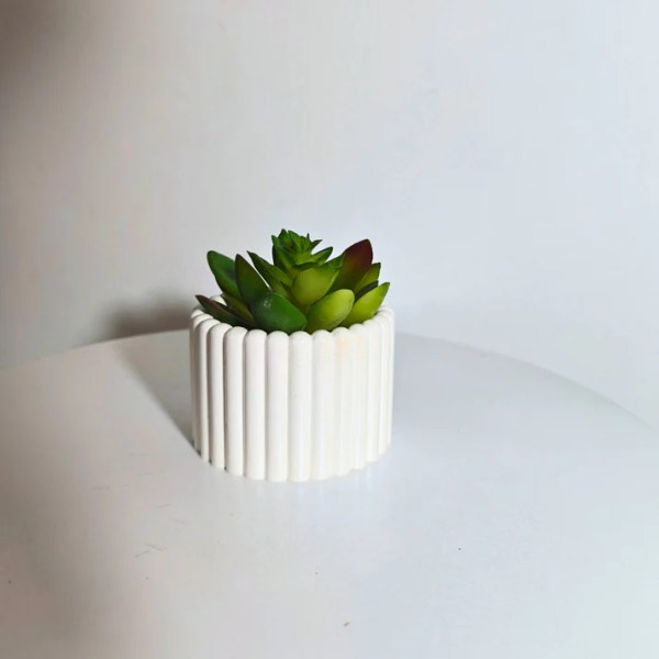The Elaan Succulent Holder Mold