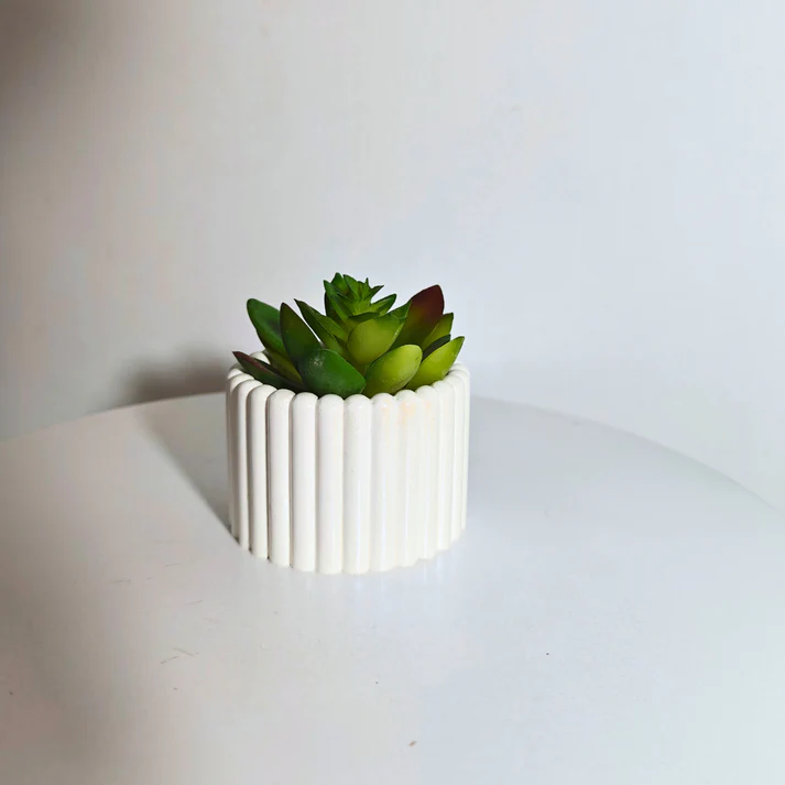 The Elaan Succulent Holder Mold - Image 2