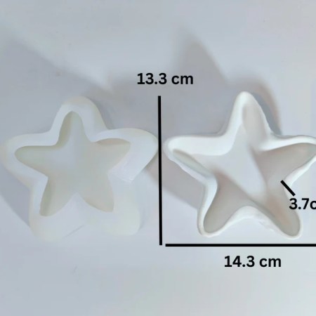 Starfish Shell Dish Mold (Big)